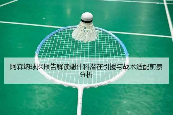 阿森纳球探报告解读谢什科潜在引援与战术适配前景分析 - kaiyun